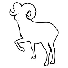 Big Horn Sheep Icon line_1