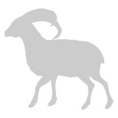 Big Horn Sheep Icon shadow