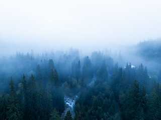 Aerial top view of trees in mist forest with mountain river in Slovakia. Drone