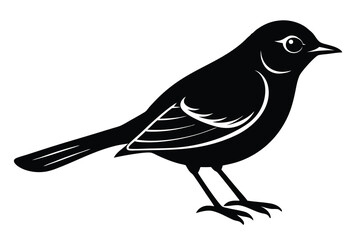 Obraz premium Warbler Bird Silhouette Vector Elements Illustration Vintage Nature Bird Icon