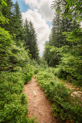 Fototapeta premium Pilsko Ski Resort, located on the border of Slovakia and Poland, offering scenic tourist trail on Pilsko Mountain in the Beskids, Poland