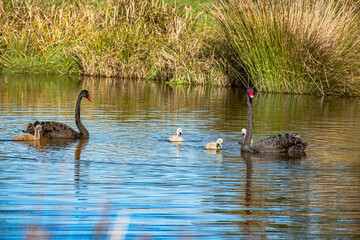 Sparks Road Wetlands 2025