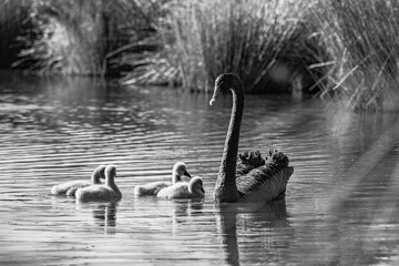 Sparks Road Wetlands 2025