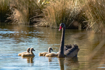 Sparks Road Wetlands 2025