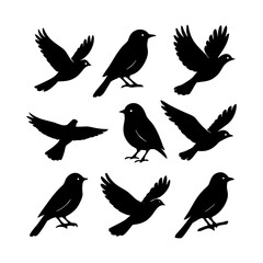 Collection of bird silhouettes in various poses: flying, perching, and standing.