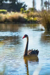 Sparks Road Wetlands 2025