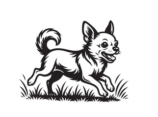 Obraz premium Cute chihuahua joyfully running on grassy field, cheerful and energetic in clean black and white vector style.