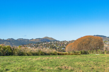 Sparks Road Wetlands 2025