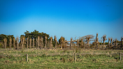 Sparks Road Wetlands 2025