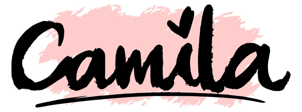 Handwritten black graffiti name &ldquo;Camila&rdquo; on pink splatter background. Stylish lettering for urban, girly, or trendy design, perfect for digital prints, stickers, or fashion.