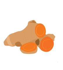 turmeric. Vector illustration, rhizome of turmeric or Curcuma longa, 