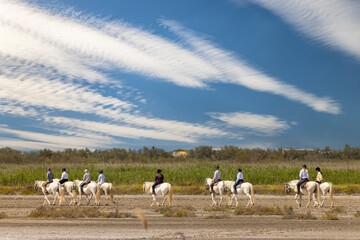 Tourists riding white camargue horses in Saintes Maries de la Mer, France, enjoying a sunny day