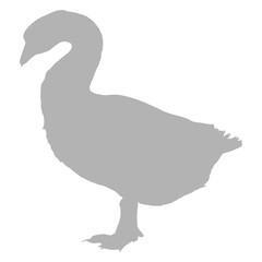 Duck Icon shadow_2
