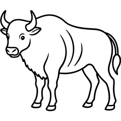 Bison Profile Clean Line Design