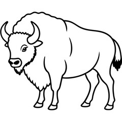 Bison Profile Clean Line Design