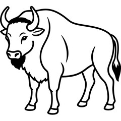 Bison Profile Clean Line Design