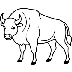 Bison Profile Clean Line Design