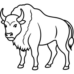 Bison Profile Clean Line Design