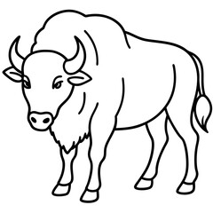 Bison Profile Clean Line Design
