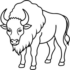 Bison Profile Clean Line Design