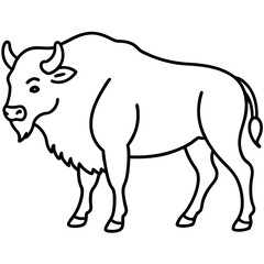 Bison Profile Clean Line Design