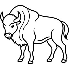 Bison Profile Clean Line Design