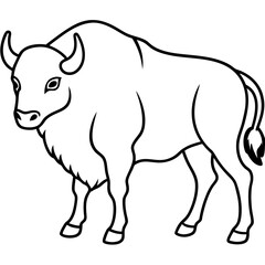 Bison Profile Clean Line Design