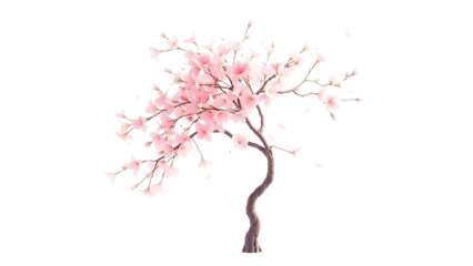 Elegant Pink Cherry Blossom Tree A Delicate Springtime Illustration