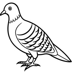 Clean Line Art of Zebra Dove Silhouette