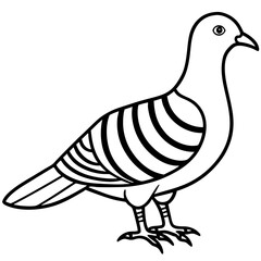 Clean Line Art of Zebra Dove Silhouette
