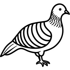Clean Line Art of Zebra Dove Silhouette