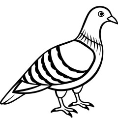 Clean Line Art of Zebra Dove Silhouette