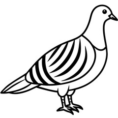 Clean Line Art of Zebra Dove Silhouette