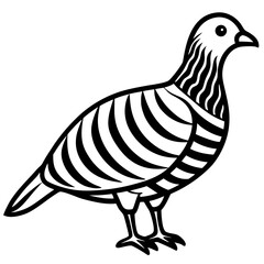 Clean Line Art of Zebra Dove Silhouette