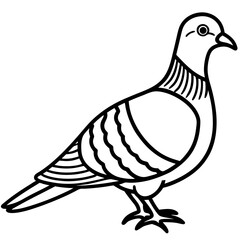 Clean Line Art of Zebra Dove Silhouette