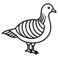 Clean Line Art of Zebra Dove Silhouette