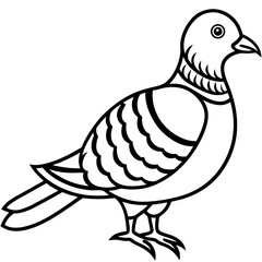 Clean Line Art of Zebra Dove Silhouette