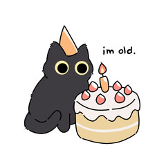 Black cat and birthday cake with funny quote 