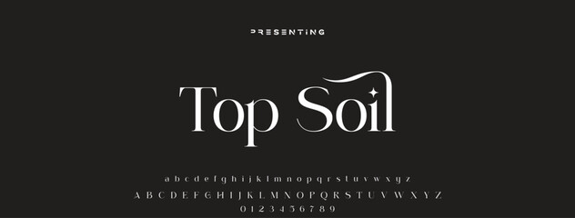 Elegant Font. Luxurious Glamour Exclusive Regular Font. Uppercase Lowercase and Number. Minimal Fashion Design