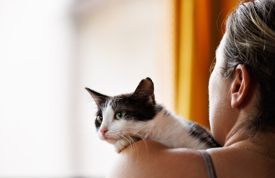 Black and white young cat or kitten resting head on young woman's shoulder as she holds him