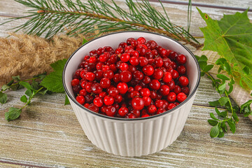 Natural organic wild forwst lingonberry