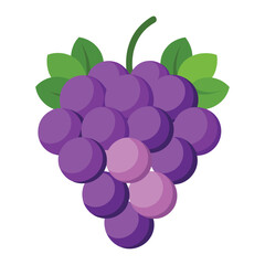 Purple grapes bunch