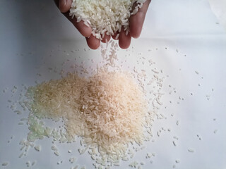 The hand that was picking up the rice,hand holding rice grain isolated on white background.