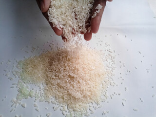 The hand that was picking up the rice,hand holding rice grain isolated on white background.