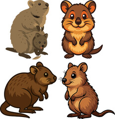 Obraz premium Australia's Quokka mascot vec...