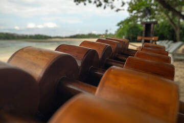Close-up of natural wooden dumbbells by the sea on a quiet tropical beach. A symbol of sustainable...
