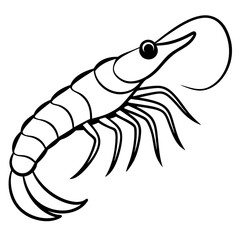 Obraz premium Clean Shrimp Linework