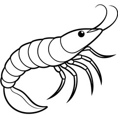 Clean Shrimp Linework