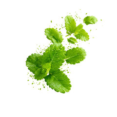 Fresh Mint Leaves Exploding Green Splash Black Background