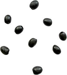 A collection of black seeds scattered on a white background.